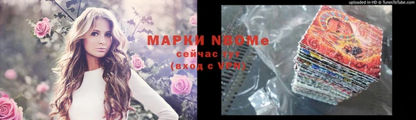стаф Аркадак