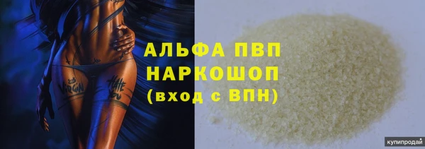 стаф Аркадак