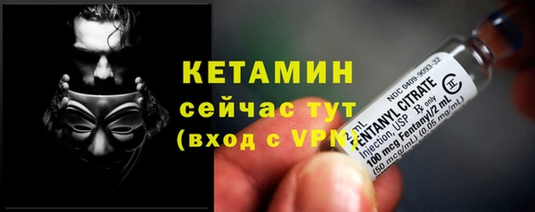 стаф Аркадак