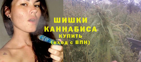 стаф Аркадак
