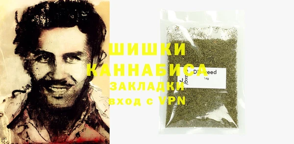 стаф Аркадак